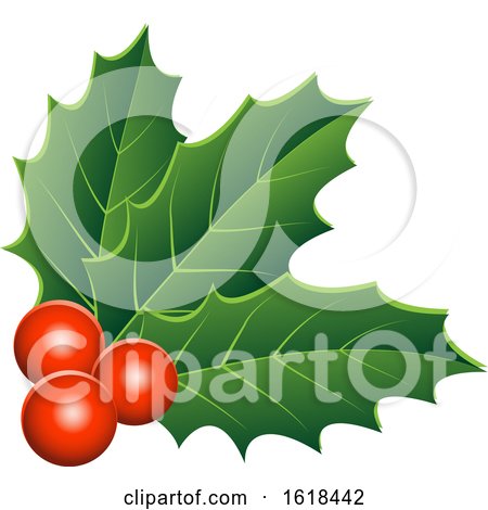 Christmas Holly and Berry Design Element by cidepix