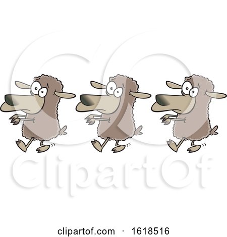 Cartoon Line of Sheep Following by toonaday