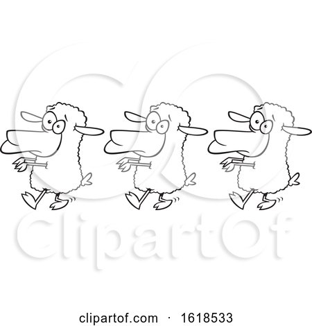 Cartoon Lineart Line of Sheep Following by toonaday