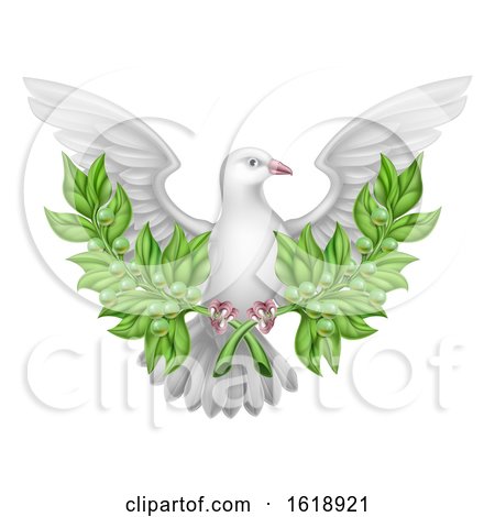 White Dove Peace with Olive Branch by AtStockIllustration