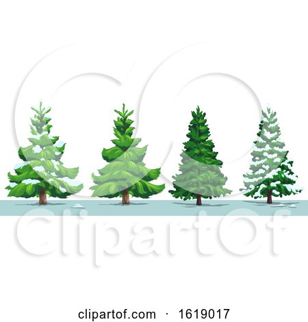 Evergreen Trees with Snow by Vector Tradition SM