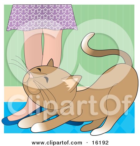 Affectionate Brown Cat Rubbing Against A Woman's Legs For Attention Clipart Illustration Image by Maria Bell