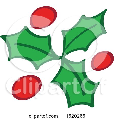 Christmas Holly Design by Zooco