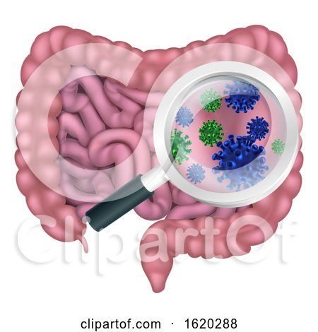 Gut Bacteria Probiotic Intestine Digestive Flora by AtStockIllustration