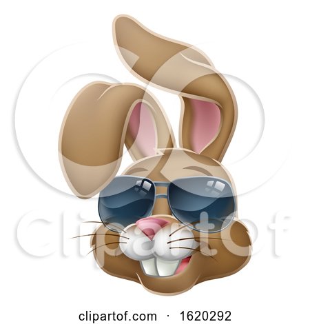 Cool Easter Bunny Rabbit in Sunglasses Cartoon by AtStockIllustration