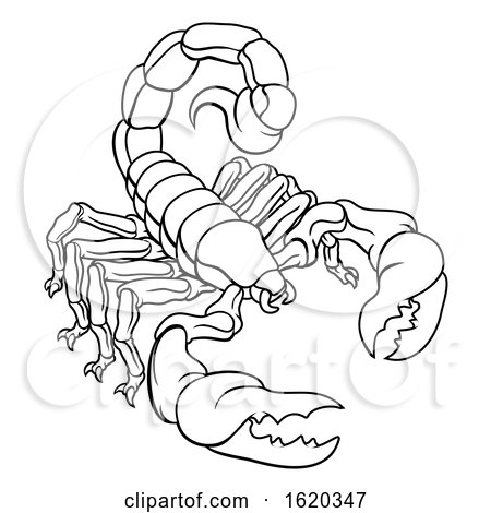 Scorpion Scorpio Zodiac Sign Design by AtStockIllustration