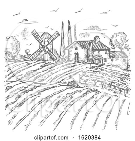 Vector Farm Engraved Style Drawing by Domenico Condello