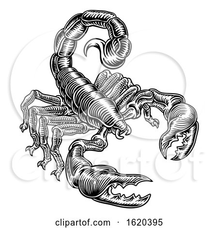 Scorpion Scorpio Zodiac Sign Woodcut Design by AtStockIllustration