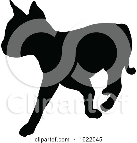 Cat Pet Animal Silhouette by AtStockIllustration