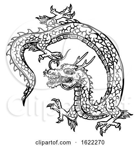 Chinese Dragon by Vector Tradition SM