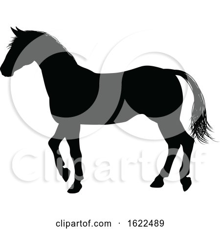 Horse Animal Silhouette by AtStockIllustration