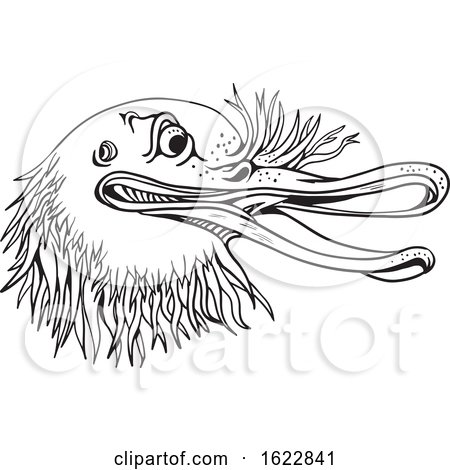 Angry Kiwi Bird Head Cartoon Black and White by patrimonio