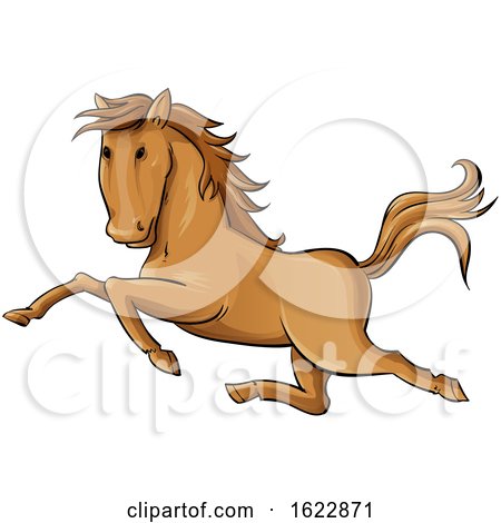 Cartoon Galloping Horse by Domenico Condello
