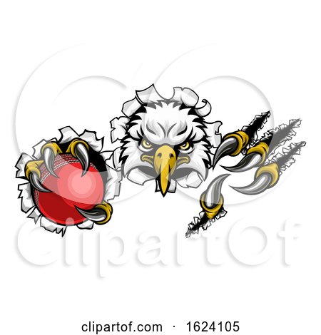 Eagle Cricket Cartoon Mascot Ripping Background by AtStockIllustration