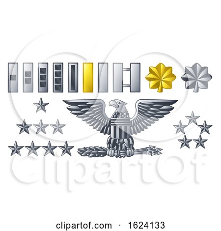 Army Military Officer Insignia Ranks by AtStockIllustration