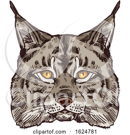 Sketched Bobcat by Vector Tradition SM
