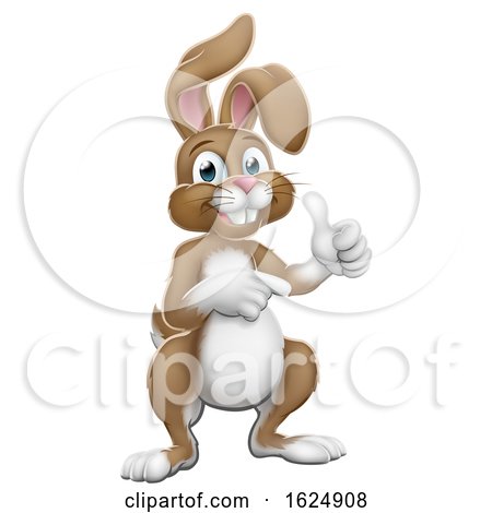Easter Bunny Rabbit Cartoon Thumbs up and Pointing by AtStockIllustration
