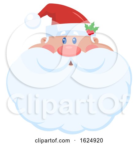 Christmas Santa Claus Face with a Big Beard by Hit Toon