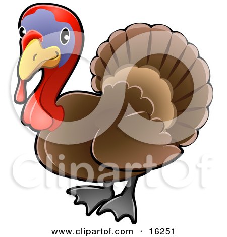 Adorable Brown Turkey Bird With A Purple Face And Red Wattle And Snood Clipart Illustration by AtStockIllustration