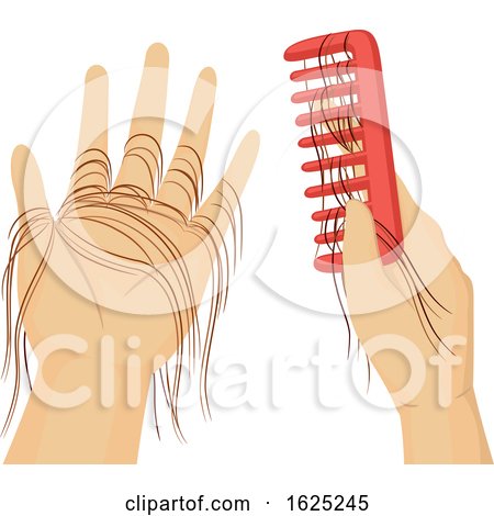 Hands Comb Hair Fall Illustration by BNP Design Studio