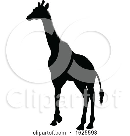 Giraffe Safari Animal Silhouette by AtStockIllustration