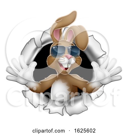 Easter Bunny Cool Rabbit Sunglasses Breaking Wall by AtStockIllustration