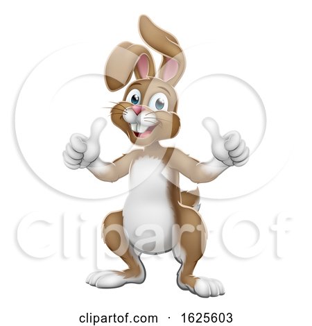 Easter Bunny Rabbit Cartoon Giving Thumbs up by AtStockIllustration