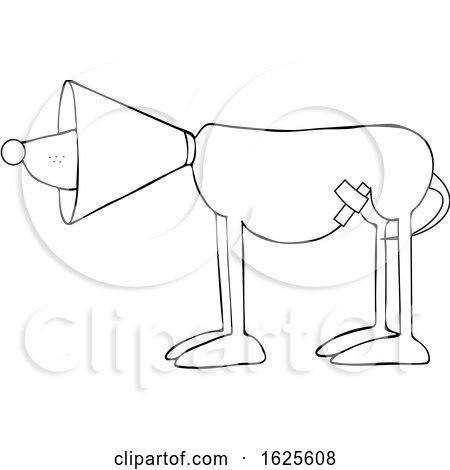 Cartoon Black and White Injured Dog Wearing a Cone by djart