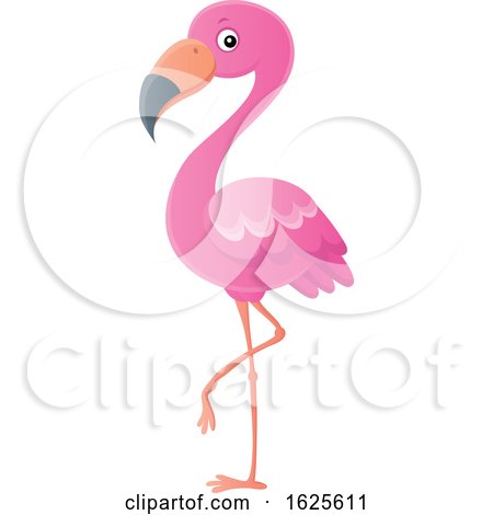 Pink Flamingo Bird by visekart