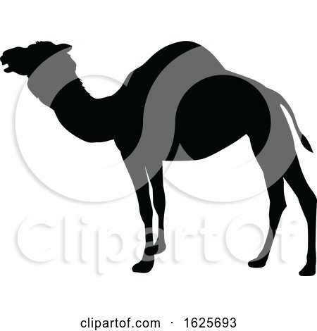 Camel Animal Silhouette by AtStockIllustration
