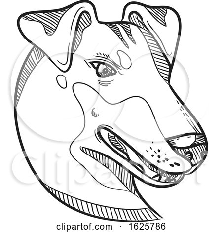 Manchester Terrier Head Drawing by patrimonio