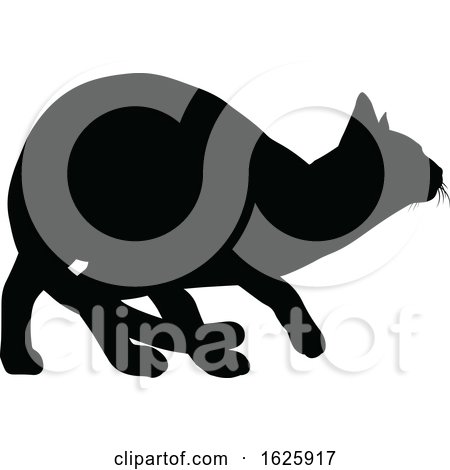 A Cat Silhouette by AtStockIllustration