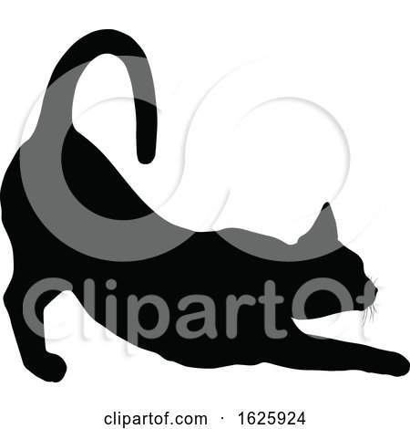 A Cat Silhouette by AtStockIllustration