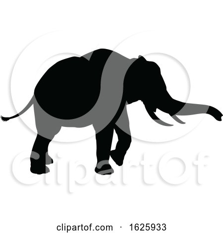 Elephant Safari Animal Silhouette by AtStockIllustration
