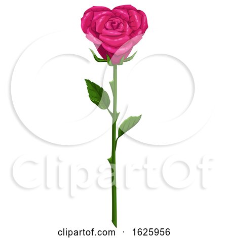 Valentines Day Rose by Vector Tradition SM