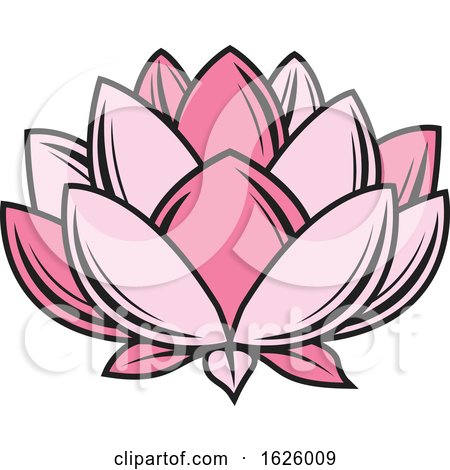 Pink Lotus by Vector Tradition SM