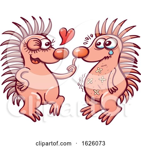 Cartoon Bold Hedgehogs in Love, One with Boo Boos by Zooco