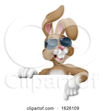 Easter Bunny Cool Rabbit Pointing Cartoon by AtStockIllustration