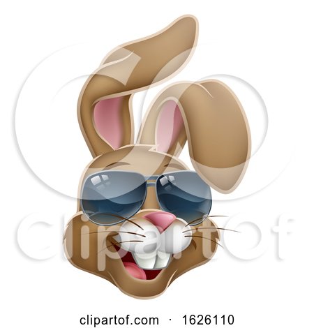 Cool Easter Bunny Rabbit in Shades Cartoon by AtStockIllustration
