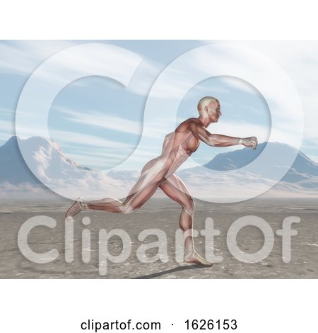 3D Male Figure with Muscle Map Running in Landscape by KJ Pargeter