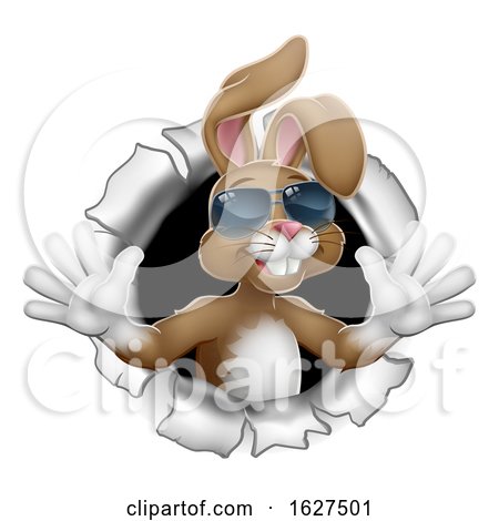 Easter Bunny Rabbit in Shades Breaking Background by AtStockIllustration