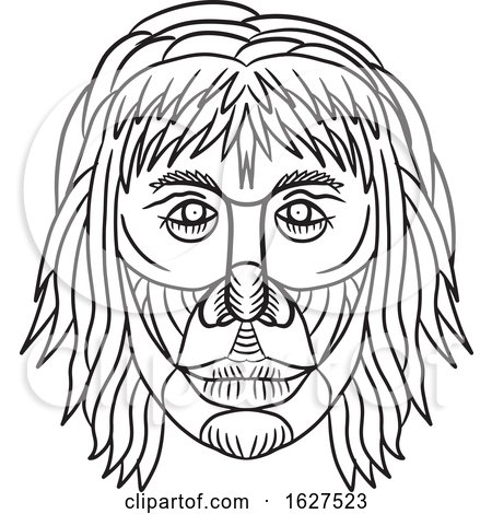 Homo Habilis Face Front Drawing by patrimonio