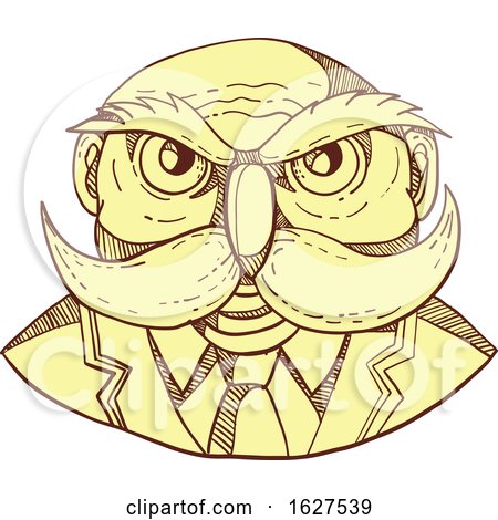 Angry Owl Man Mustache Doodle Color by patrimonio