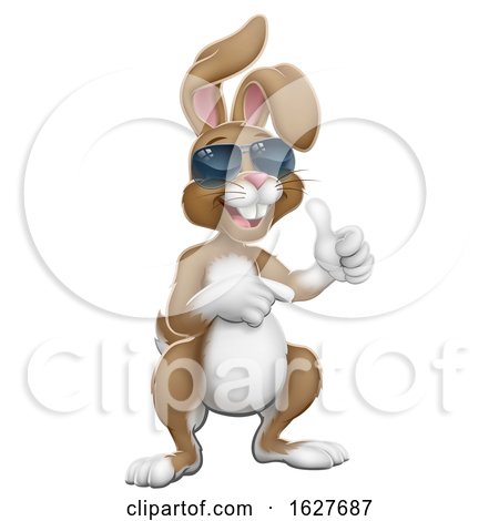 Easter Bunny Cool Rabbit Thumbs up and Pointing by AtStockIllustration