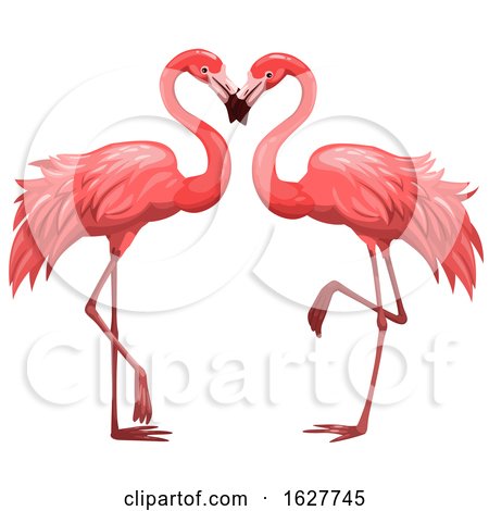 Valentines Day Flamingo Couple by Vector Tradition SM