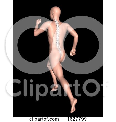 3D Male Figure in Running Pose with Spine Highlighted by KJ Pargeter