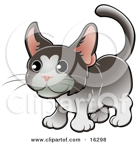 Sweet Gray And White Tuxedo Cat With Pink Ears Clipart Illustration Image by AtStockIllustration