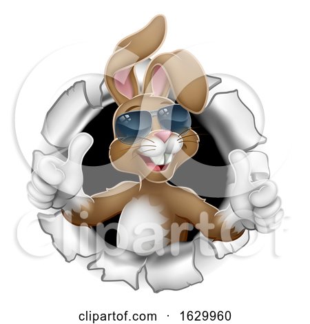 Easter Bunny Thumbs up Cool Rabbit in Sunglasses by AtStockIllustration