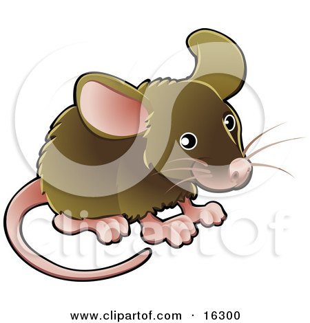 Little Brown Pet Mouse With A Pink Nose, Ears, Feet And Tail Clipart Illustration Image by AtStockIllustration