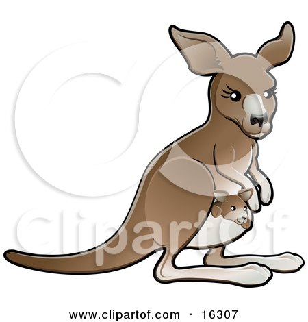 Brown Mother Kangaroo With A Little Baby Joey In Her Pouch Clipart Illustration Image by AtStockIllustration